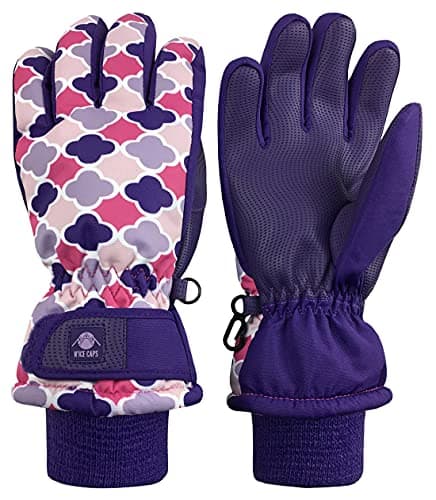 N'Ice Caps Kids' Waterproof Winter Warm Thinsulate Gloves — Purple Geo
